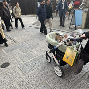 IMG-3026