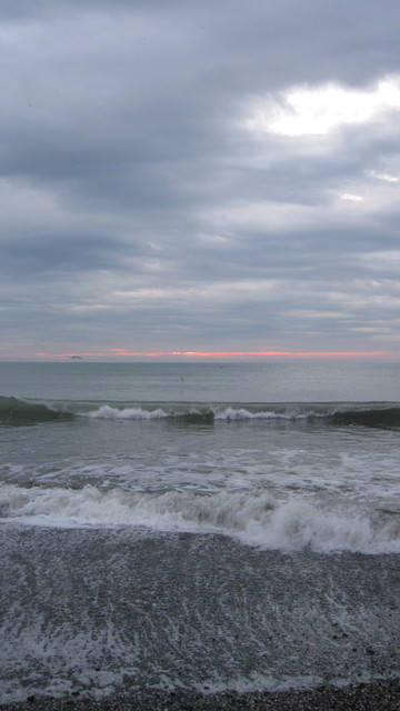 IMG-1323