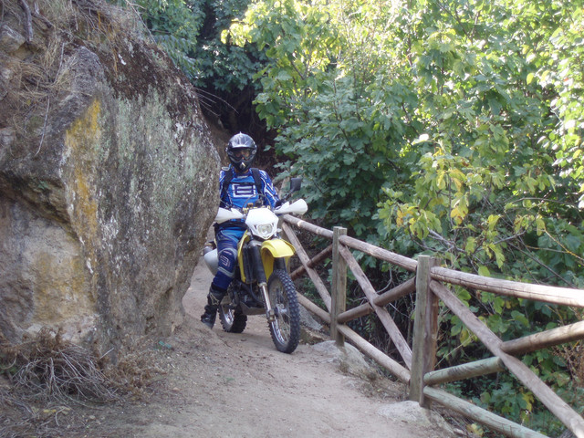 OLYMPUS-DIGITAL-CAMERA.jpg