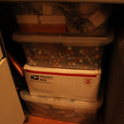 IMG-7315