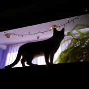 IMG-20220125-150337