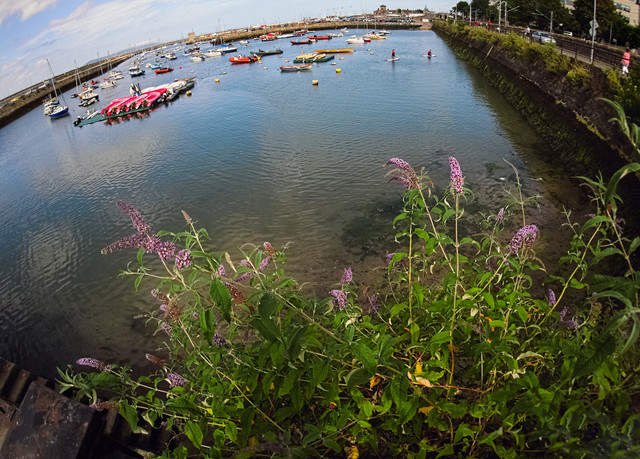P1010893.jpg