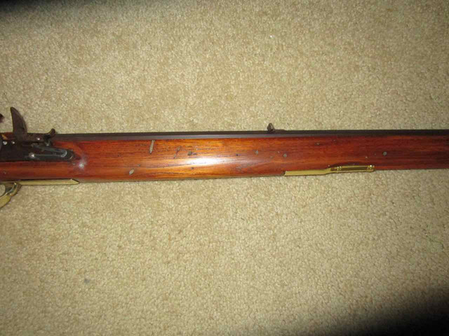 chestnut-6