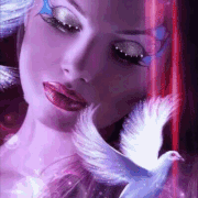 2.gif