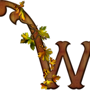 W 541769