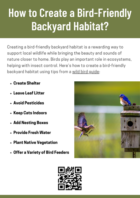 Creating a bird-friendly backyard habitat involves providing essential elements like food, water, shelter, and nesting sites. Incorporate native plants for natural food sources, add birdbaths for fresh water, and offer safe nesting areas. Avoid pesticides to protect birds and their food supply. For more tips on attracting local species, consult a wild bird guide to help customize your space. To know more visit here https://wildbirdguide.com/category/local-birds/