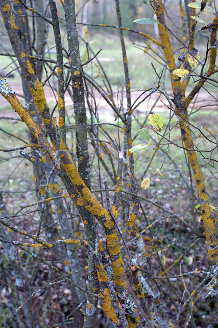 DSC7501-result.jpg