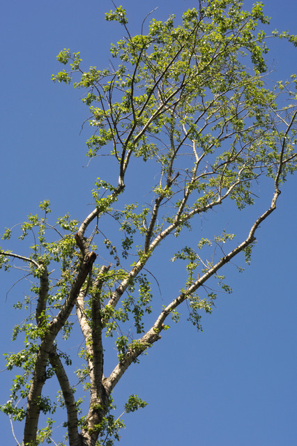 DSC3868.jpg