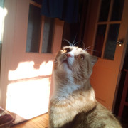 IMG-20220401-090355