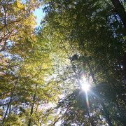 IMG-20221215-124705