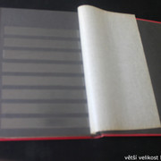 IMG-2462