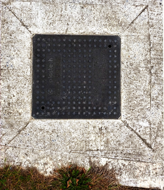 E1SR9619.jpg
