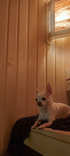 20231125-183129
