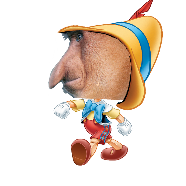 nose