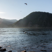 DSC03402