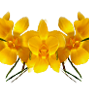 0-7b0ba-8bfa463f-L