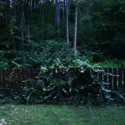 IMG-20220708-211830