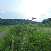 P1330288