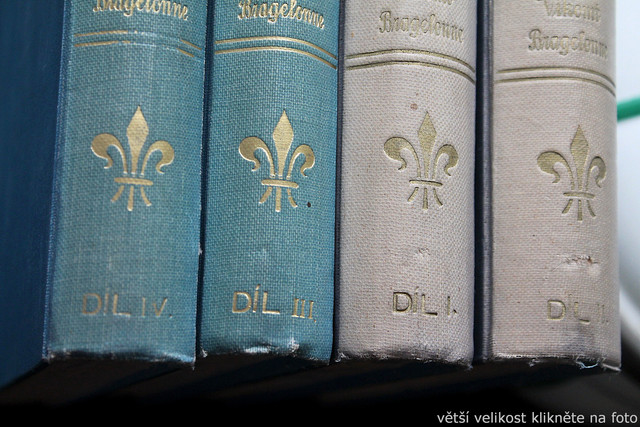 IMG-8309.jpg