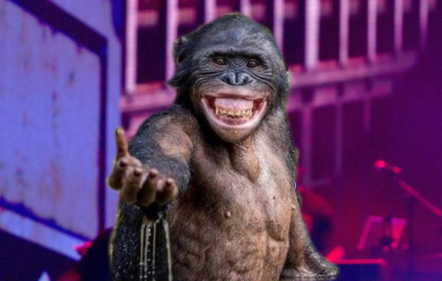 monke-In-Concert.png