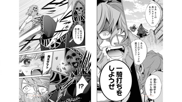 DLRAW-net-06