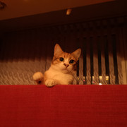 IMG-20230116-045448