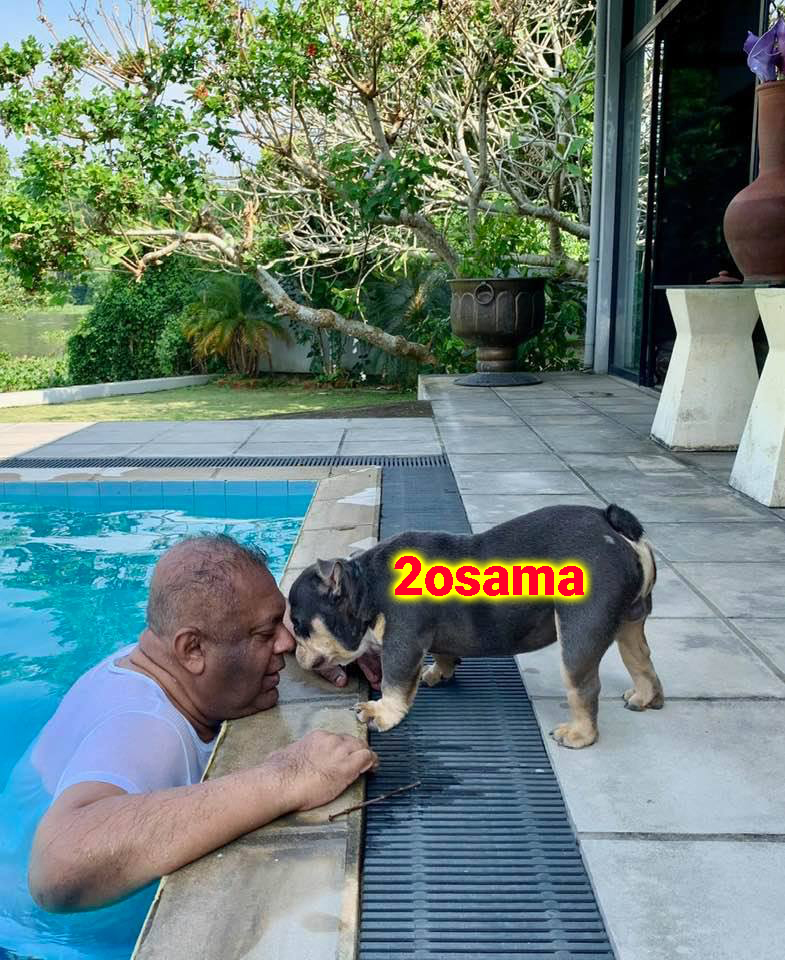 Osama-Dog.jpg