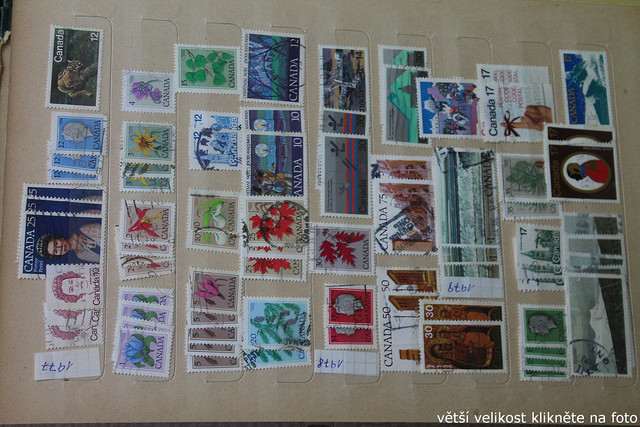 IMG-3474.jpg