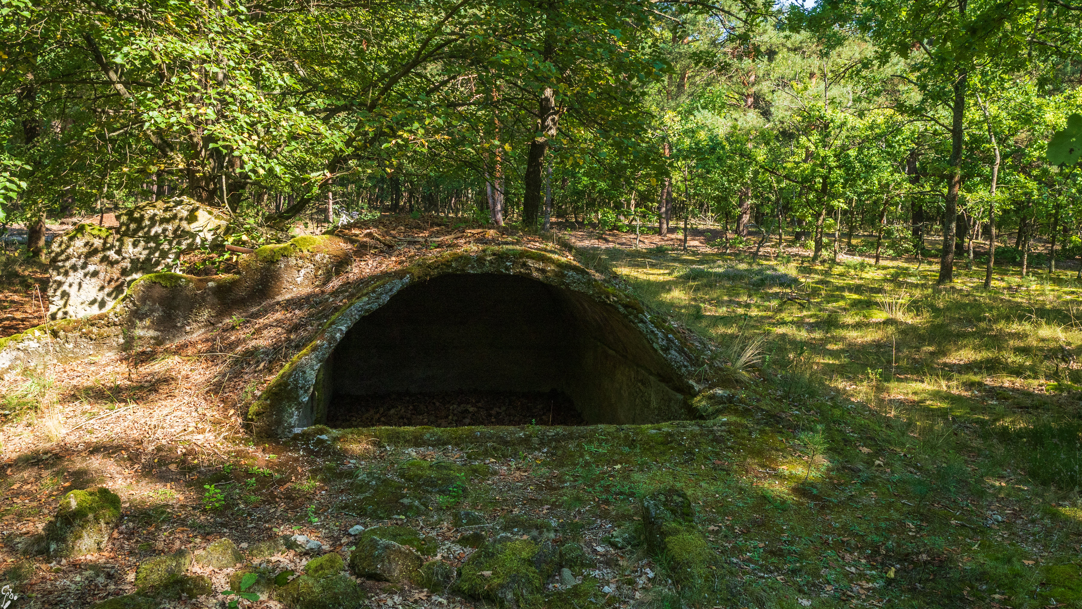 kampinos-06