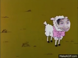 oveja2.gif