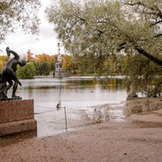 DSCF1982