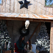 IMG-6369