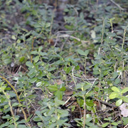 DSC8481