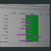Health Testing Results 04 5