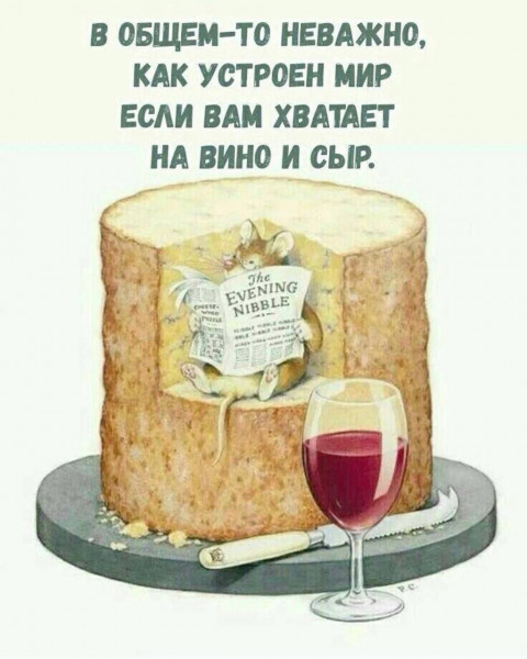 https://i.ibb.co/P8tnrN9/image.jpg