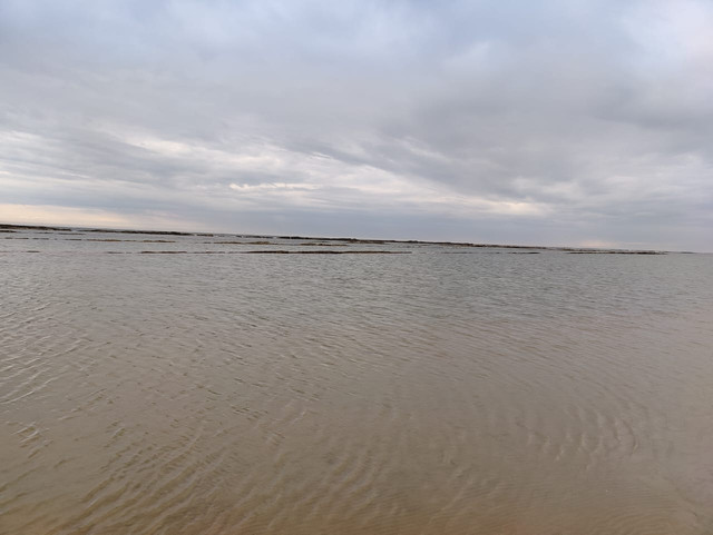 IMG-20230409-WA0002