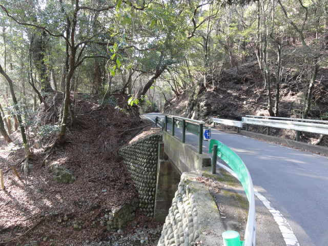 2011-02-26-009.jpg
