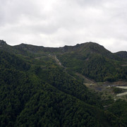DSC7137