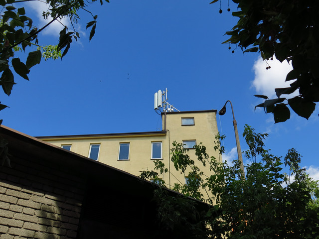 IMG-4286