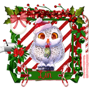 lin-cryptidxmas