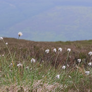 IMGP8368