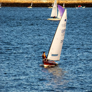 IMGP6917