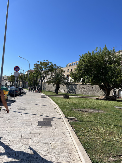 IMG-1418
