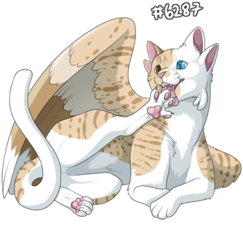Pet Image