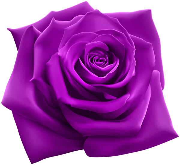 Purple-PNG-Picture.png
