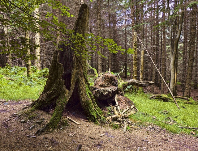 DSCF0633.jpg