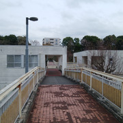 DSC-0090