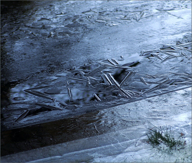 IMGP2092.jpg