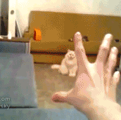 CsXOi.gif