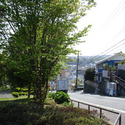 2010-04-29-31